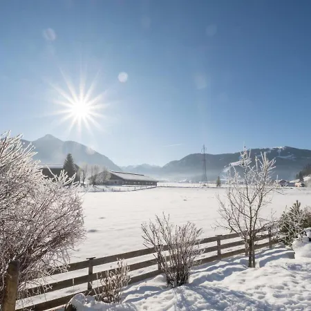 Appartement Elsa Flachau