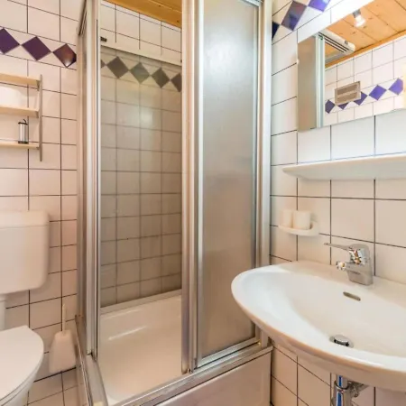 Elsa Appartement Flachau