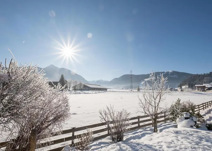 Apartman Elsa Flachau