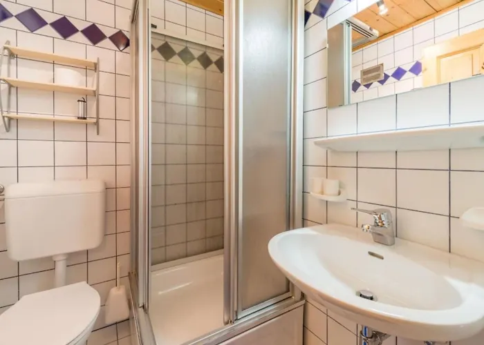 Elsa Apartman Flachau